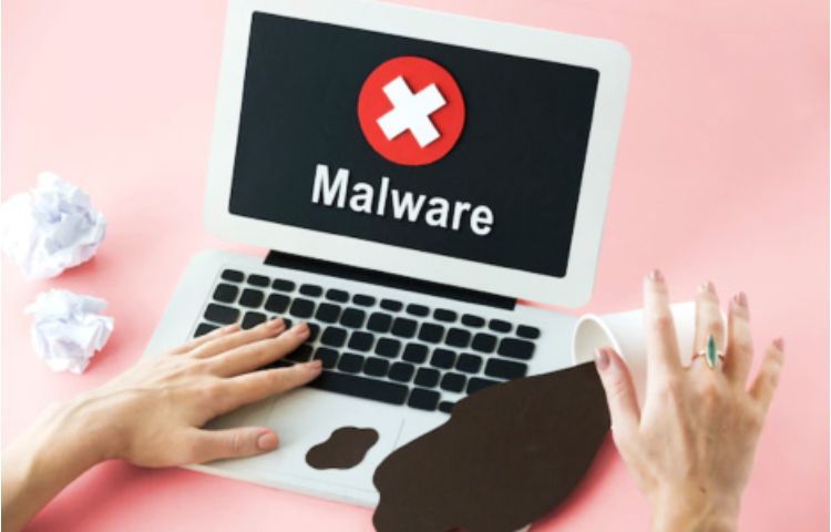 What is malware in cyber security?