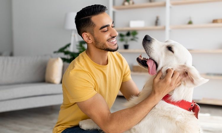 National Pet's Day 2024: How Having a Pet Improves Your Health ...