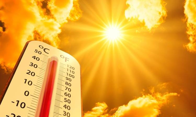 Surviving Heatwave: Union Health Ministry Holds Review Meeting