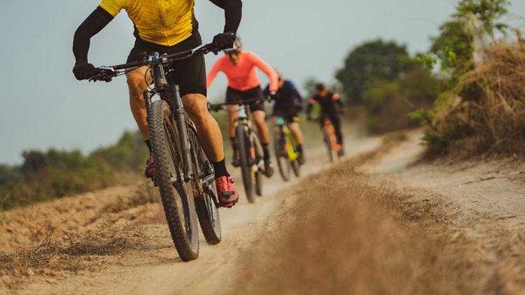 World Bicycle Day