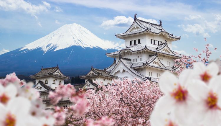 Countries to Experience Cherry Blossom Bliss in 2024!