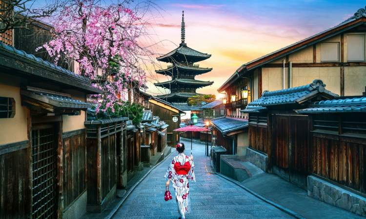 Best Shrines and temples to visit in japan