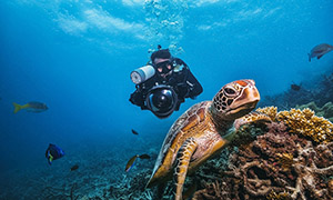 The Great Barrier Reef: A Complete Guide to Exploring Australia's Natural Wonder