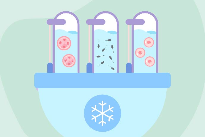 All You Need To Know About Egg-Freezing Process