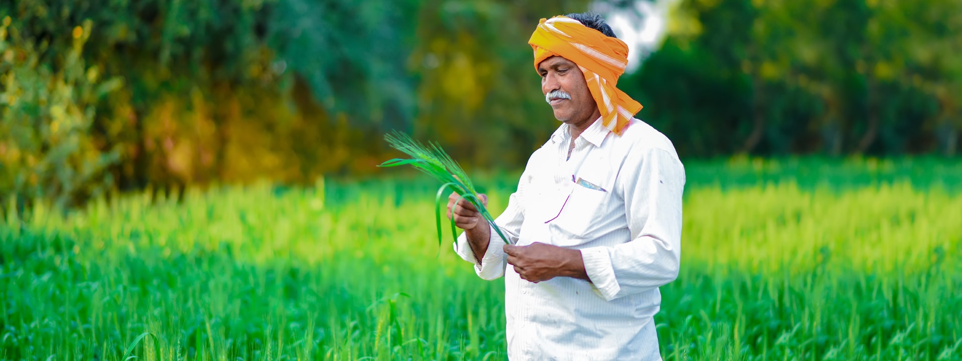 ಪ್ರಧಾನ್ ಮಂತ್ರಿ