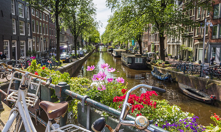 Exploring Amsterdam: Tulips, Canals, and History